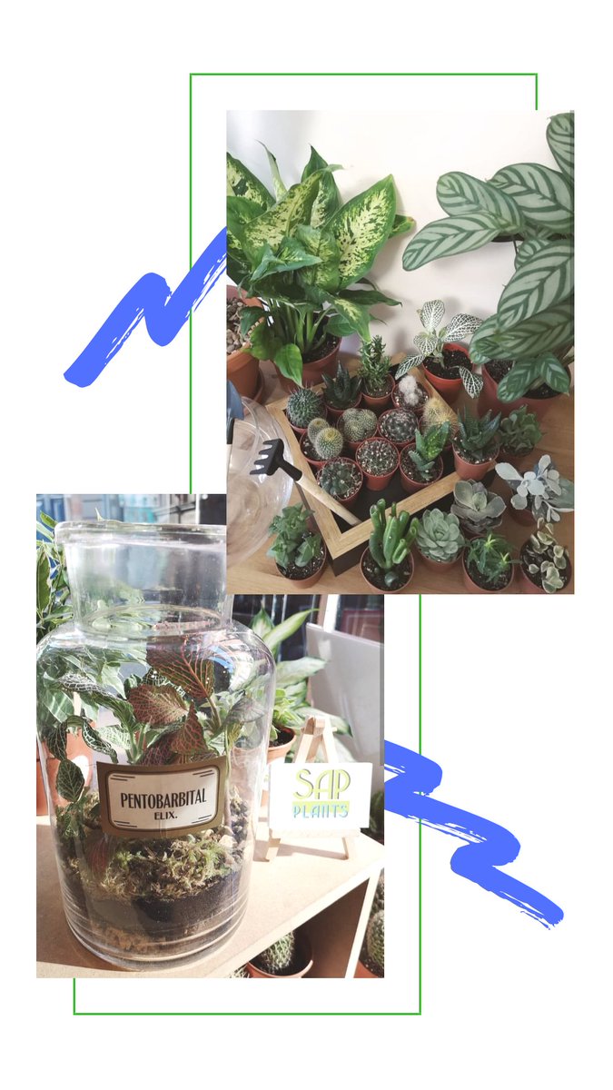 You'll be able to shop from all of these brands at the Plant Swap, and get your nails done by Dorta!