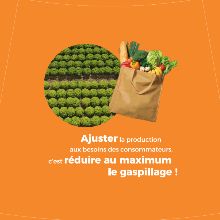 [Le bon geste #SIA2019] Pas de #gaspillagealimentaire ! Ce sont les besoins de nos consommateurs qui déterminent les surfaces cultivées: 100% des légumes récoltés sont conditionnés. #LaNatureNotreFutur <a href="/Stop_Gaspillage/">Gaspi Alimentaire</a>