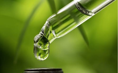 AngelBotanicals's tweet photo. Shop our CBD Formulations - In our extensive research, we have found and now collaborate with one of the finest quality growers and select only the highest quality products grown and harvested on a Colorado organic hemp farm. 
https://t.co/BJR5i76X5z

#sacredsynergy #cbd #cbdoil https://t.co/CRGG5WFBTM