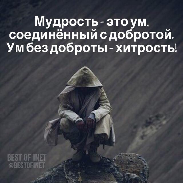 Лучшие высказывания tweet media