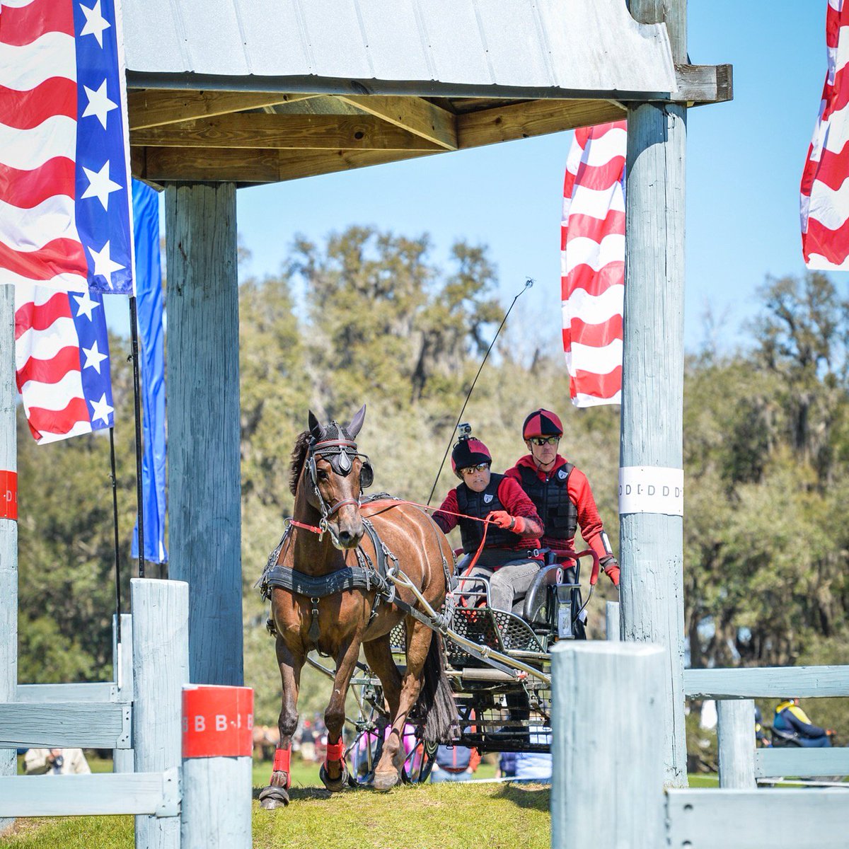 LiveOakInt's tweet photo. Thank you to Great American Insurance for being avid supporters of Live Oak Int. for another year! We know #LOI2019 is going to be the best one yet! 
#greatamericaninsurance 
📸: @eringilmorephotos https://t.co/pYzAnu6fpz