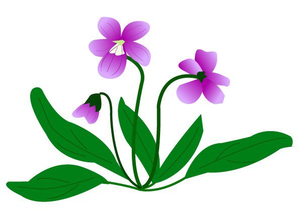 Eiko Sato Ecotokyo Twitter