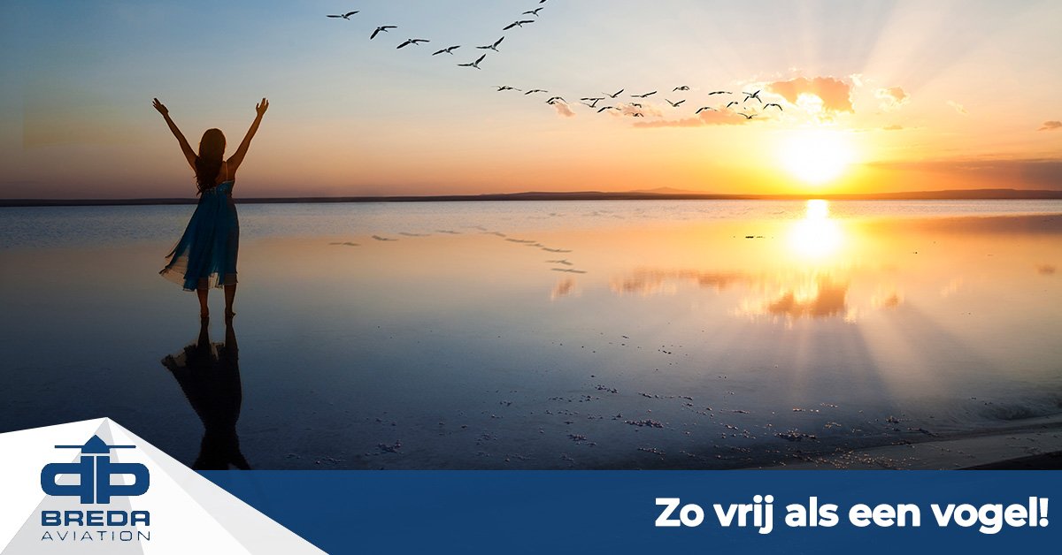 "Zo vrij als een vogel" is een uiting van het gevoel dat vliegen teweeg kan brengen. Hoe voel jij je hoog in de lucht? Wij lezen het graag!