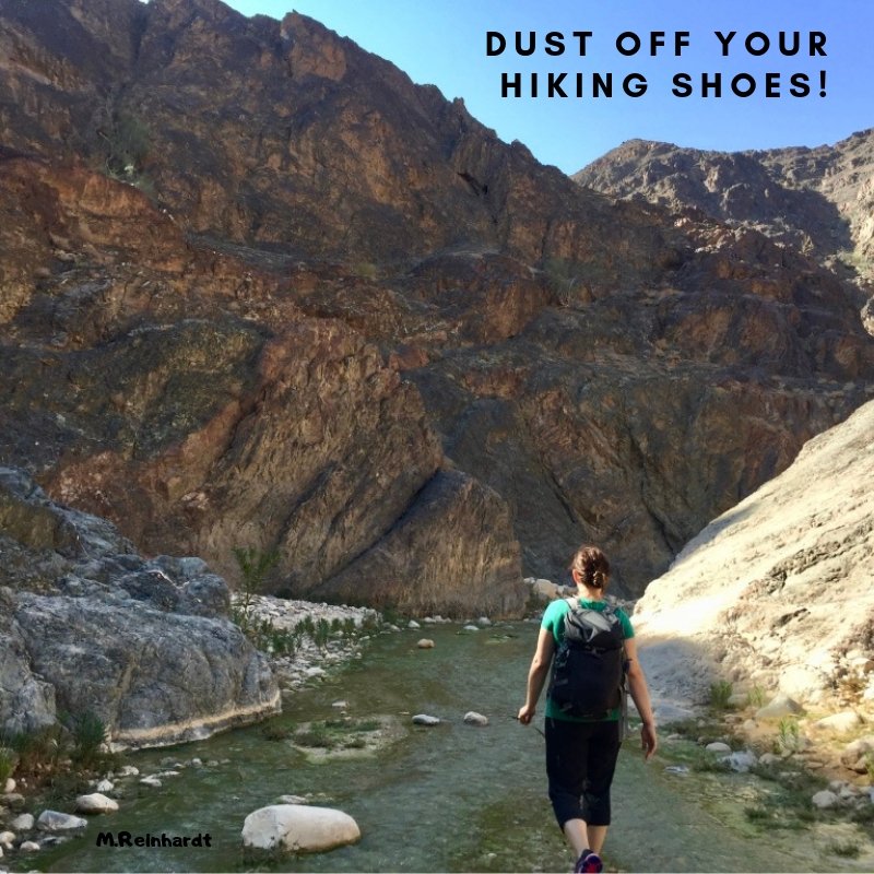 apieceofjordan's tweet photo. #Jordan is abundant with stunning hiking trails - there really is no excuse not to go for a stroll!

#visitjordan #hikinginjordan #walkinginjordan #shareyourjordan #myjordanjourney #petrajordan #wadimujib https://t.co/bD1tYYyzyl