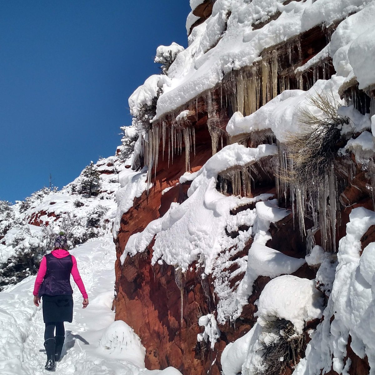 outdoortravella's tweet photo. Hiking in a desert winter wonderland. #nofilter #nofilterneeded #utah #utahfive #utahexplored #utahoutdoors #outdoors #outdoorslife #getoutdoors #getoutside #optoutside #neverstopexploring #peoplewhooutdoor #snow #zion #zionnationalpark #nationalpark #hiking https://t.co/x3E2A1ubhn