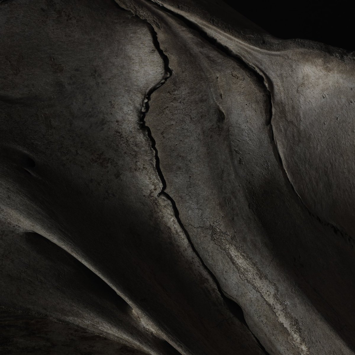 Celebrating #WorldWildlifeDay with this image by <a href="/einarsira/">Einar Sira</a> 'Whale Bone #1' from the series Post Vitam.

#WWD2019 #LifeBelowWater #blackandwhitephotography