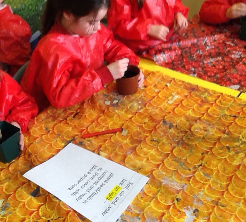 Jon30010350Jon's tweet photo. Planting flowers. We make the test fair by changing just one thing to see what they need to grow. @St_Marys_First https://t.co/Hkaxa9mGTJ