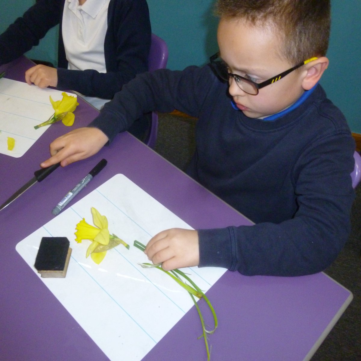 OWPSarmadillos's tweet photo. Armadillos had an amazing experience this afternoon dissecting plants #bringsciencetolife #explorify https://t.co/uF3jx0Dxfs