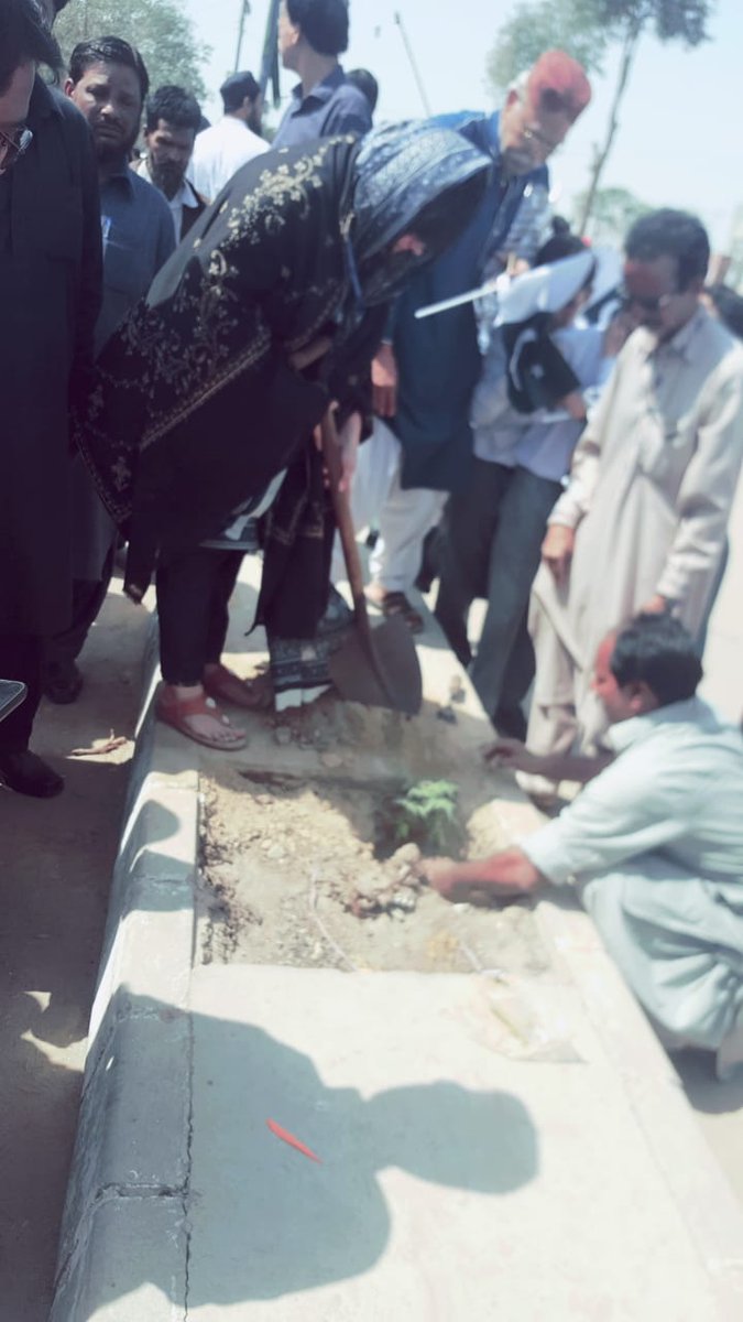 seed_ngo's tweet photo. Clean and green pakistan https://t.co/Fjf8pCWlsS