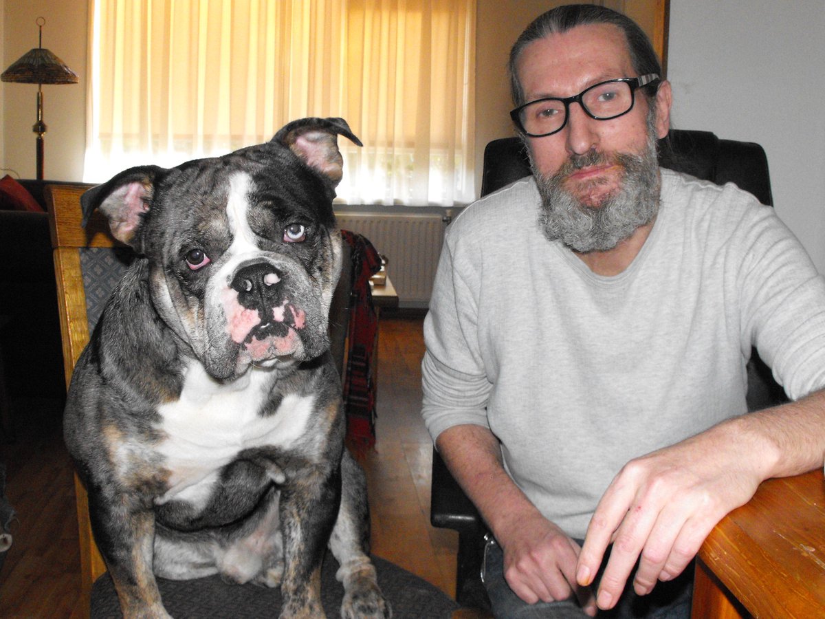 JJstevieo's tweet photo. @dogcelebration Seamus &amp; i thank you for your support , wishing a upcoming fine weekend ! #AdoptdontShop #RescueddogsofTwitter #dogsoftwitter #SeamustheBullDog #Bulldogs https://t.co/9NeR6Q21FO https://t.co/C5CvZieQQO