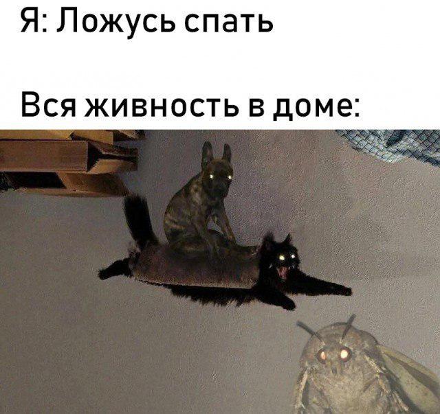 D0f6WvCX0AAUvti.jpg:large