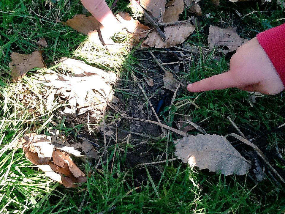 Jon30010350Jon's tweet photo. An exciting day exploring the grounds of Kingston Lacy to launch our topic 'The Scented Garden'. @St_Marys_First https://t.co/DWRVVZneUS
