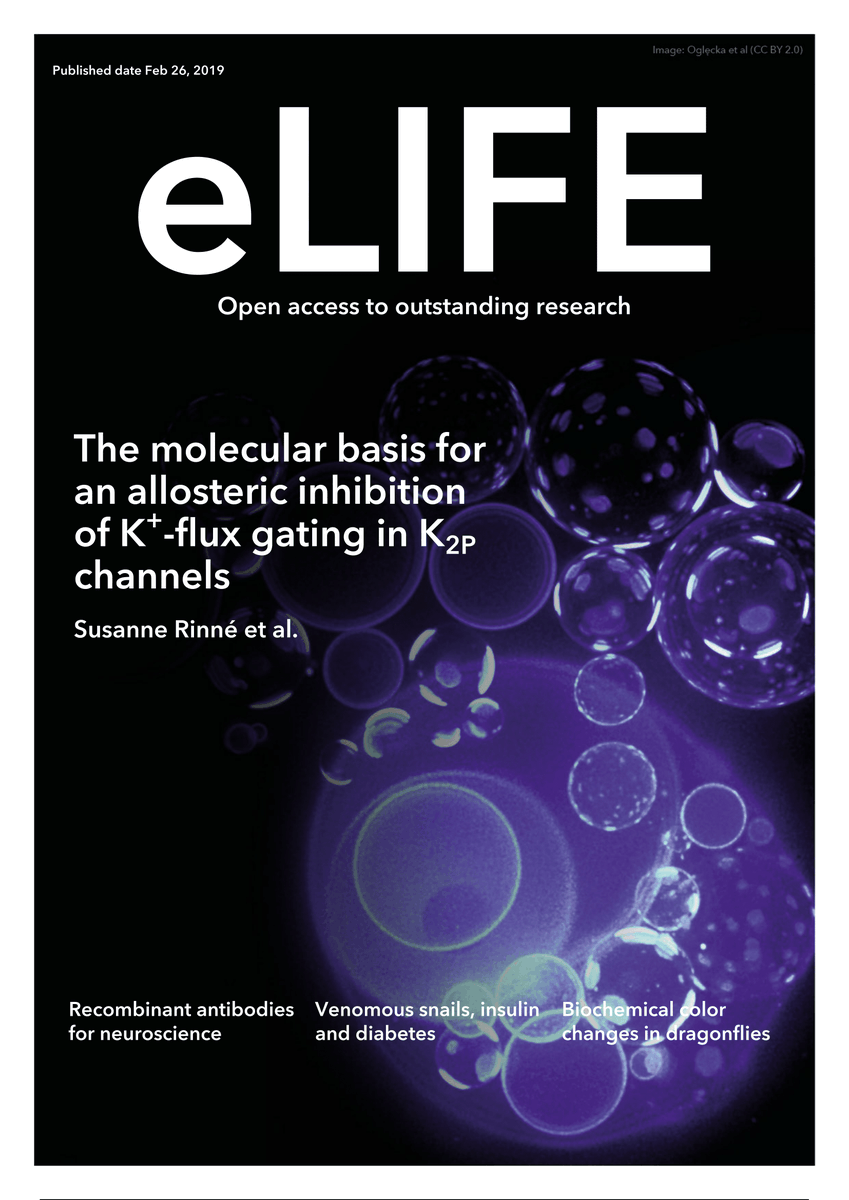 Felicitamos nuevamente a la Dra. Wendy González, parte del equipo de <a href="/MiNICAD_Chile/">MiNICAD</a>, quien junto a otros científicos, describen un nuevo mecanismo de regulación de los canales de potasio K2P. El paper fue portada de la prestigiosa revista <a href="/eLife/">eLife - the journal</a> 👏😎elifesciences.org/articles/39476