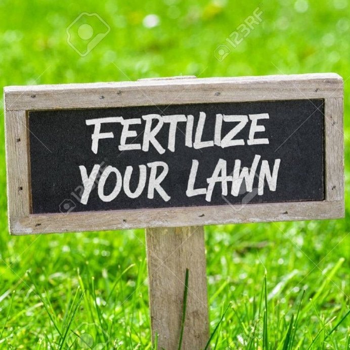 MedixMower's tweet photo. Friendly reminder to our COOL WEATHER GRASS friends, time to fertilize! #Fertilize #CoolWeatherGrasses #LawnMaintenance #ReelMowerSpecialists #ReelMowers #ReelGrind #Backlapping #ShopLocal #NorthGA #GoBraves #TomahawkChop #CantonGa #AlpharettaGA #SpringTime #GoodGrass #GAonMyMind https://t.co/y9l5TBbcRh