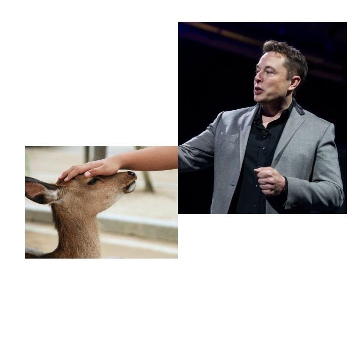 AdamKaczynski1's tweet image. @elonmusk  what u think about this huh?