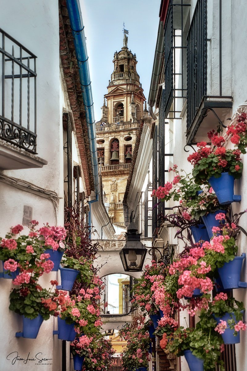Ser de flores... Calleja De Las Flores (Córdoba).
#FelizDiadeAndalucia 
<a href="/CordobaESP/">Turismo de Córdoba</a> <a href="/MencantaCordoba/">Córdoba (España)</a> <a href="/VerCordoba/">Que ver en Córdoba</a> <a href="/HistoriasDeLuz/">Historias de Luz</a> <a href="/TurismoAndaluz/">Turismo Andalucía</a> <a href="/viveandalucia/">Vive Andalucía</a>