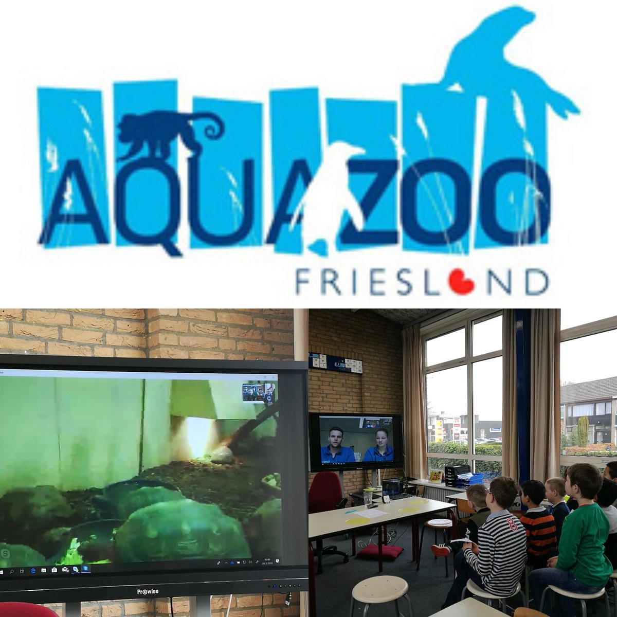 Vandaag heeft groep 3 &amp; 4 een virtual fieldtrip gedaan via Skype met Aqua Zoo Friesland. Na de vragen van de kinderen namen de verzorgers ons mee naar de dierenverblijven. Een ontzettend leuke ervaring. Bedankt. @skype @aquazoofriesland <a href="/Skype/">Skype</a>Classroom <a href="/StichtingProo/">Stichting Proo</a>