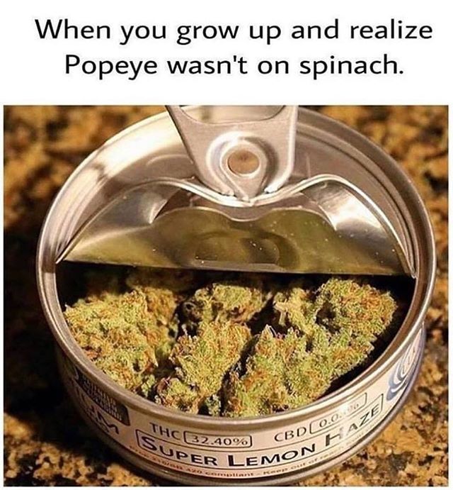 stinksack's tweet photo. I am is what I am’s and that’s all that I am‘s.... 💚💚💚 #smellproof #odorless #stinksack #stealth #cannabis #marijuana #dabs #extracts #edibles #headies #kush #cancer #indica #newyorkcity #smokeweedeveryday #cbd #thc  #ommp #snoopdog #wutangclan #cypr… https://t.co/aIQr2yrbE2 https://t.co/fzK0sUzFsw