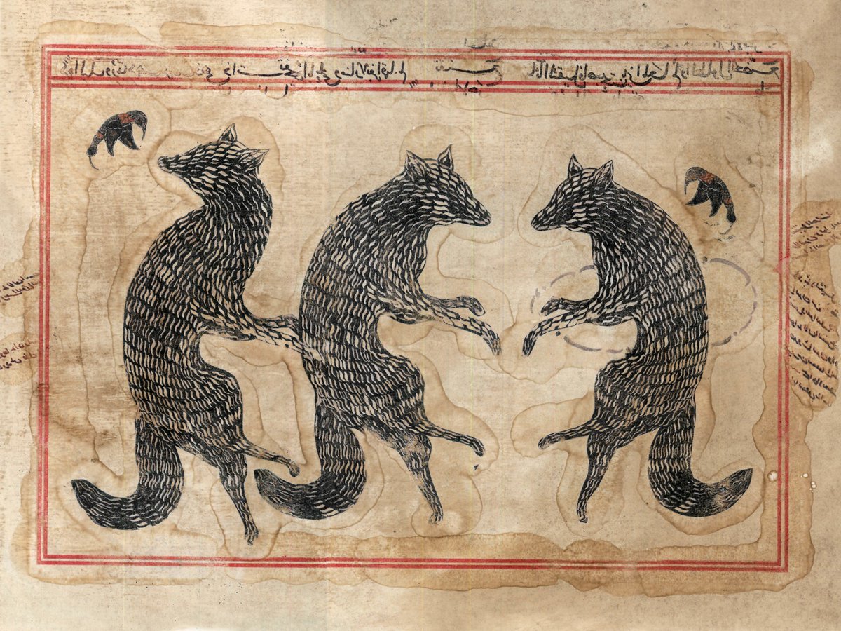 Mohammad Barrangi Illustration tweet media