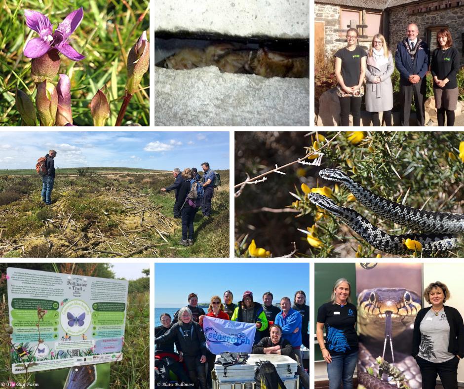 We have funding available for wildlife &amp; conservation projects in West Wales.
Please share so we can reach as many people as possible. ow.ly/GTqo30nKHKo