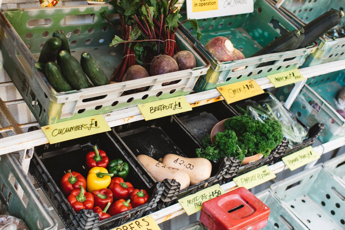 jerseyroyals's tweet photo. #Honestyboxes like this one can be found all over #Jersey, where you can pick up #freshveg, and of course some #JerseyRoyals when the #season arrives! @VisitJersey https://t.co/5MHlvkApDU