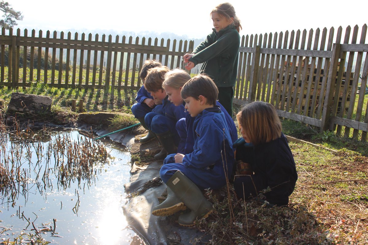 PerrottHill's tweet photo. Pond conservation with our Year 1 and 2 children, as part of their learning in Forest School. They were fascinated by the frog and toadspawn! #pondconservation #forestschool #outdoorlearning #somerset #timeandspace @SomersetWT https://t.co/4PYxKRaUSF