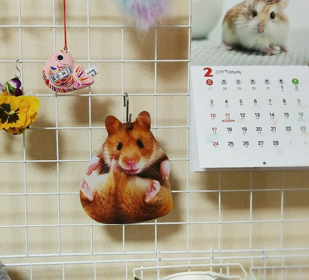 100均キャンドゥ(can☆do)にハムスターグッズ🐹あったよ！と教えて