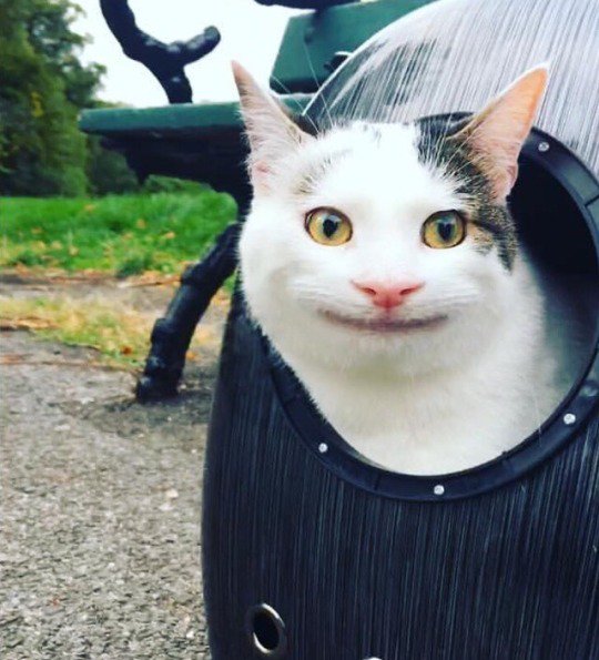 Hava almaya çıktık 😀😀