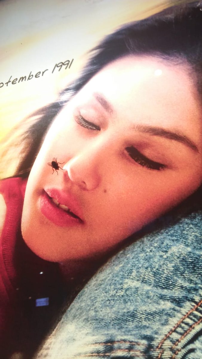 Pas lewat "loh kok tai lalet milea ada dua"
Pas ngedeket, ya Allah sama lalet laletnya ternyata 😭😭