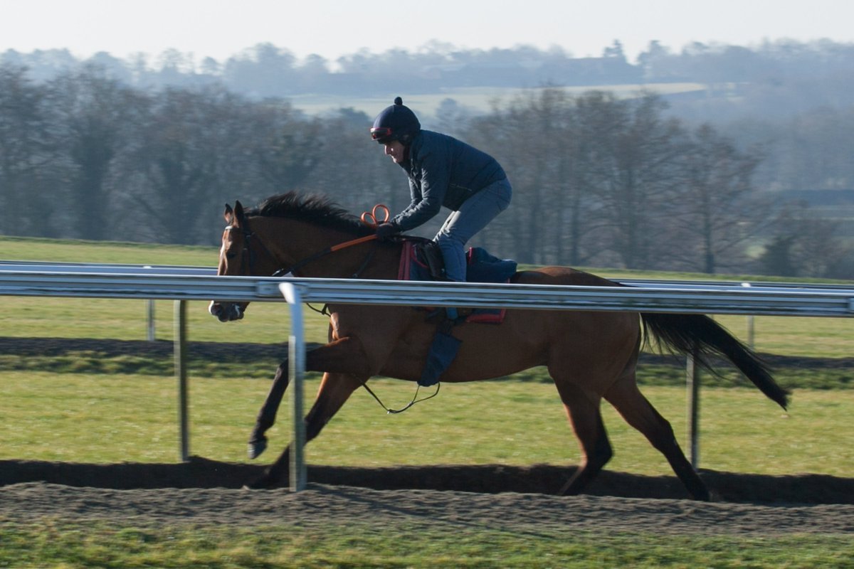 Two-year-olds starting to step up their cantering exercise...plus older horses Cenotaph and Abe Lincoln in solo exercise on Warren Hill.
