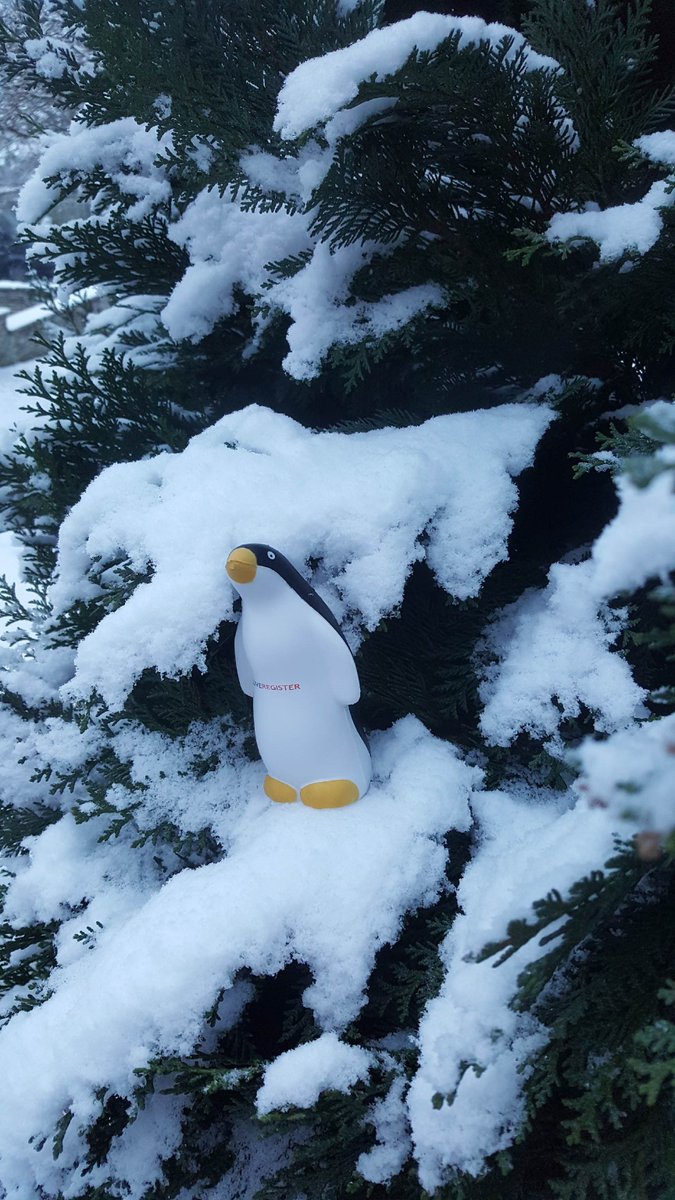 Live Register tweet media