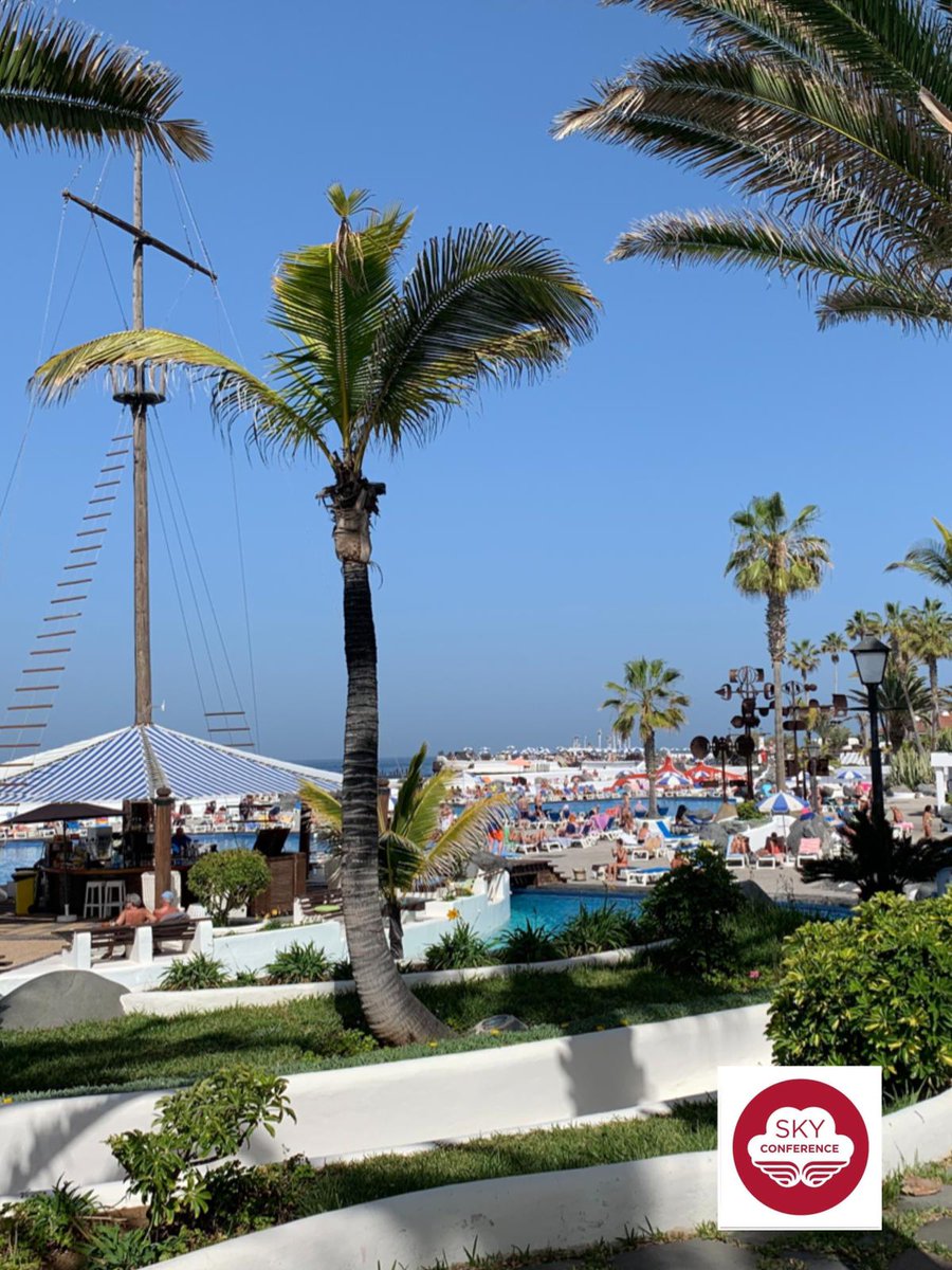 CAFTenerife's tweet photo. ¡Solo falta un día!La #SkyConference llega este viernes a la isla con casi 200 #AFColegiados de España y otros países✈️🏝️ 🤗https://t.co/vzhPmCAHTG @CoafaAlicante @CgcafeAaff @skyconference https://t.co/J7bimxpBP5