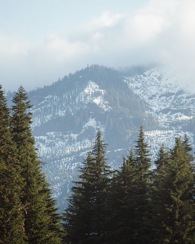 dave__stillwell's tweet photo. Misty mountains memories from last May. 
__________________________⠀
#choosemountains #departedoutdoors #wearethewild #in2nature #adventuretogether #freshairandfreedom #outside_project #igersmountains #campingcollective #wildernessnation #modernoutdo… https://t.co/76MkDgzIpa https://t.co/IGwBBsX3Qi