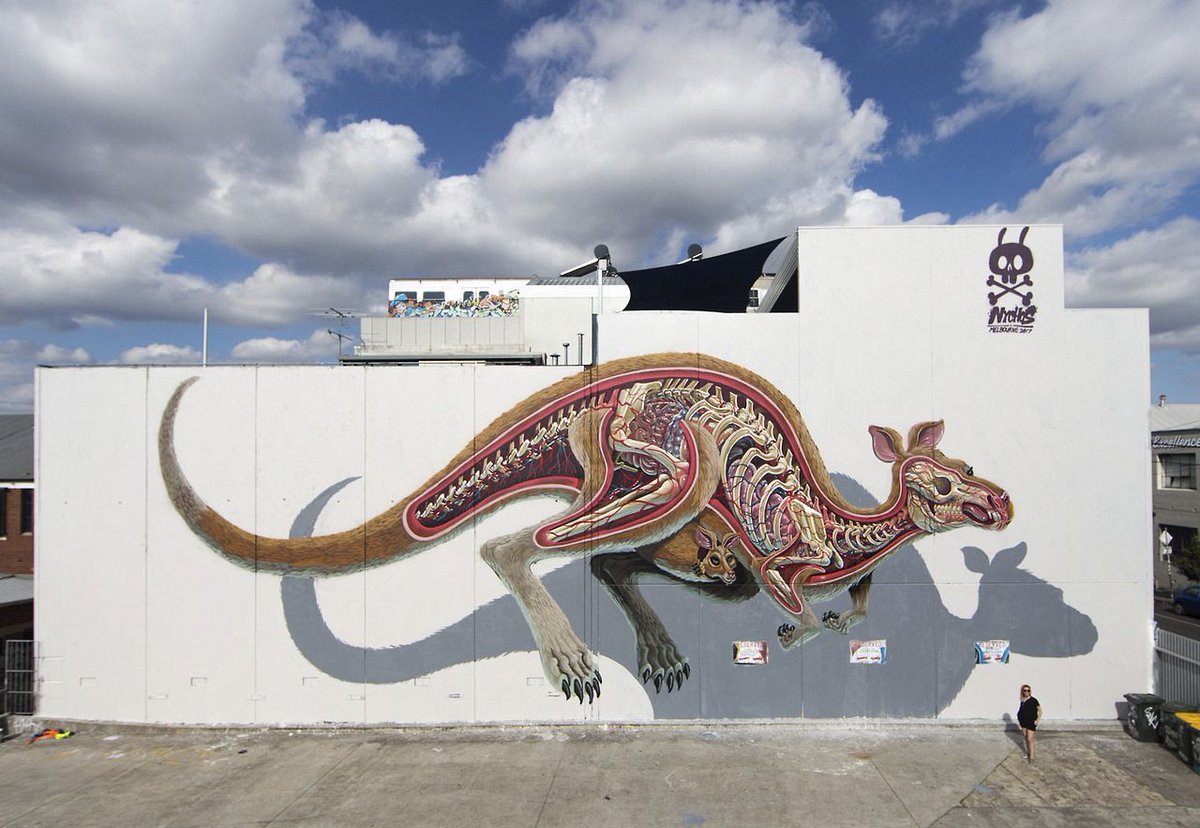 maximaxoo's tweet photo. #Science #Art: #anatomical #murals of #bisected #animals by street artist #Nychos
โบ https://t.co/xHZHmqnDio via @Colossal https://t.co/T0U0uVzgsJ