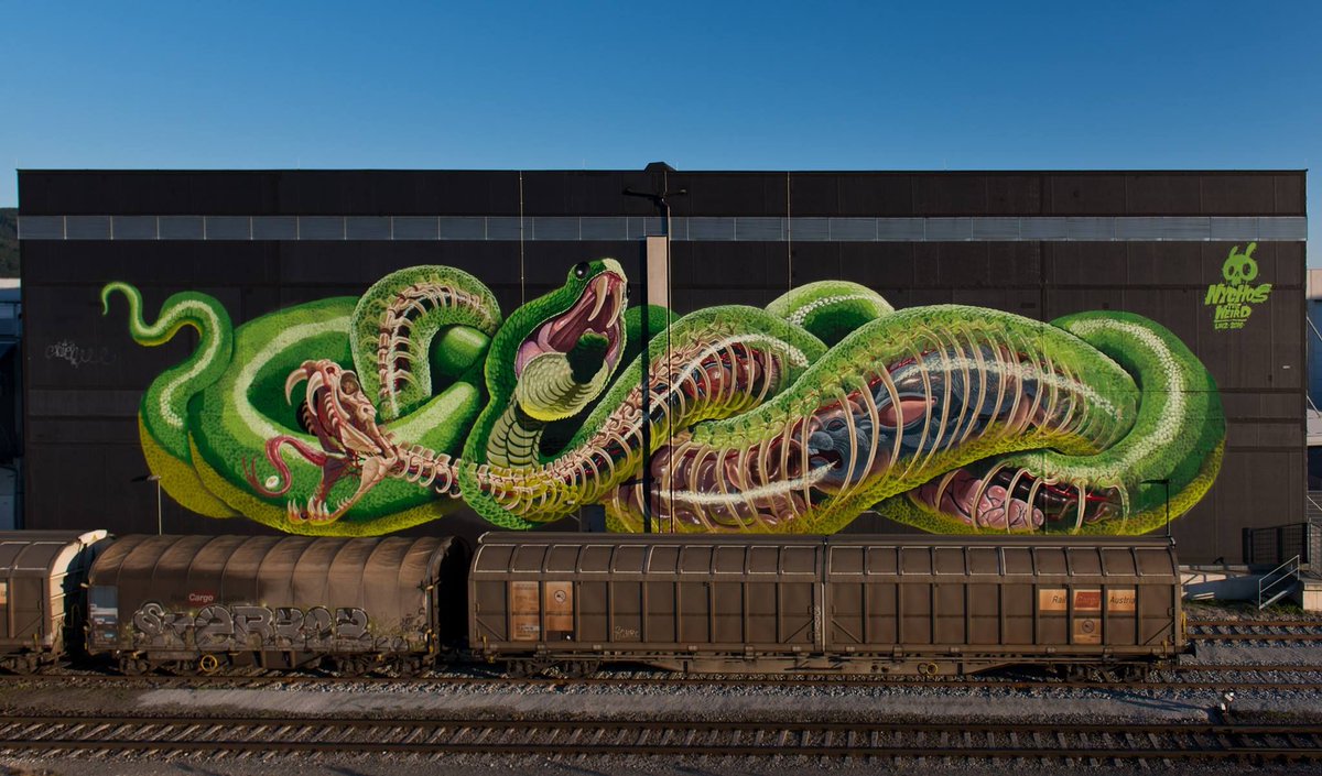 maximaxoo's tweet photo. #Science #Art: #anatomical #murals of #bisected #animals by street artist #Nychos
โบ https://t.co/xHZHmqnDio via @Colossal https://t.co/T0U0uVzgsJ