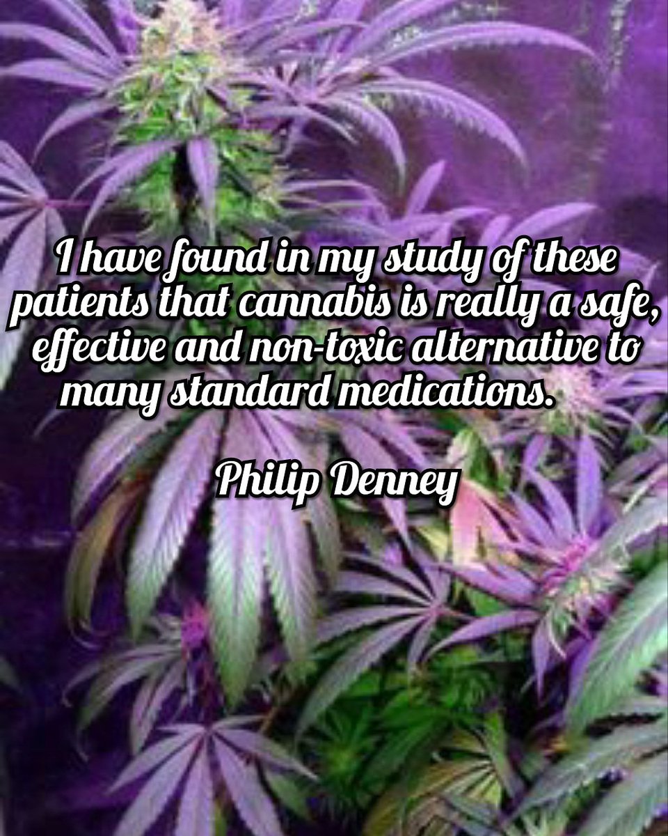 SammyRaeFitz's tweet photo. Good Morning and Happt Friday Eve to All You Fabuwonderific Folks out there... Have a Great and Productive Day!

#oklahomamedicalmarijuanapatient 
#oklahomamedicalmarijuana 
#oklahomamedicalcannabis 
#420changingtheworld
#420somewhere
#patientsfirst
#wontbackdown
#womenincannabiz https://t.co/EIsqKJvaf4