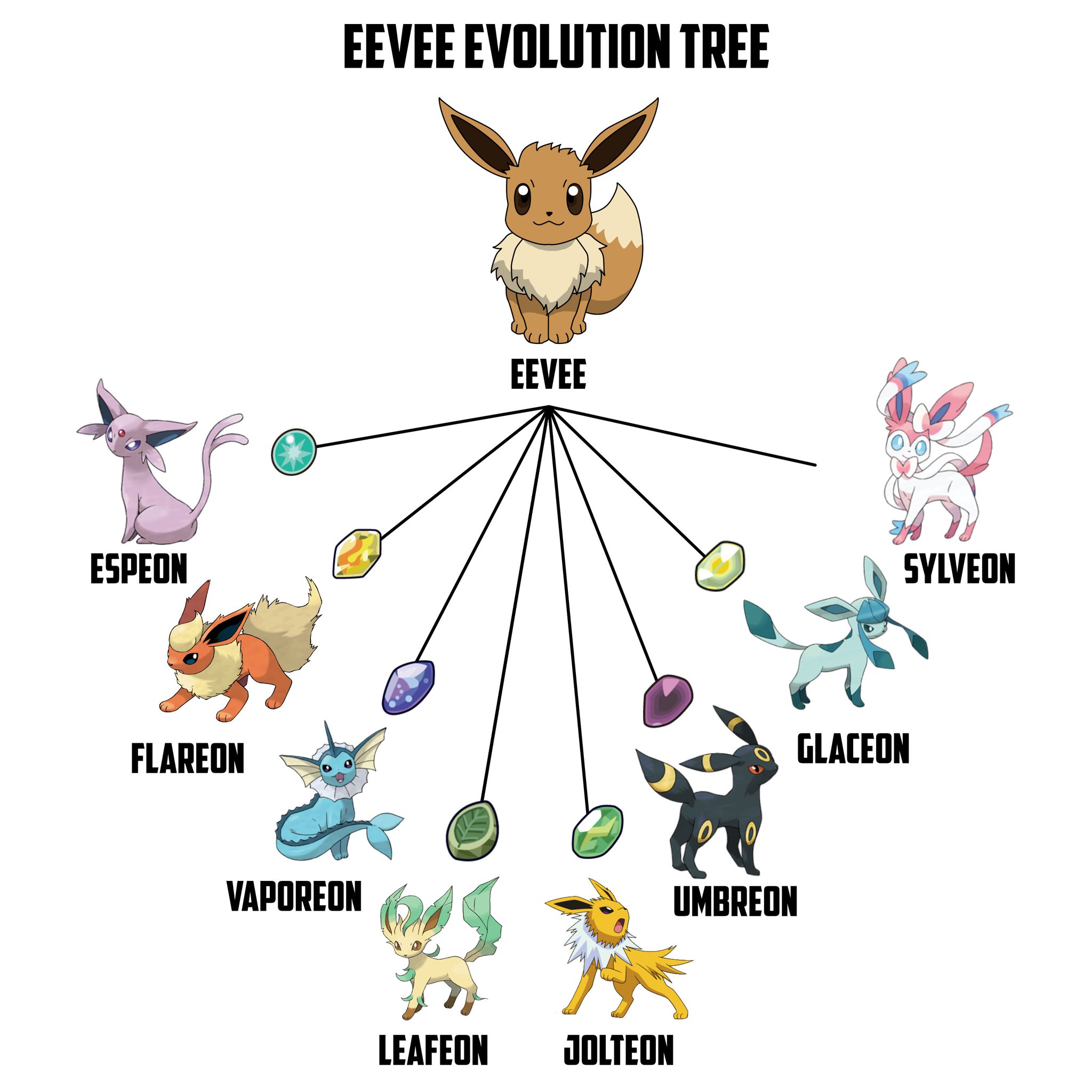 Evoli Entwicklung Namen Feelinara Pokemon Go