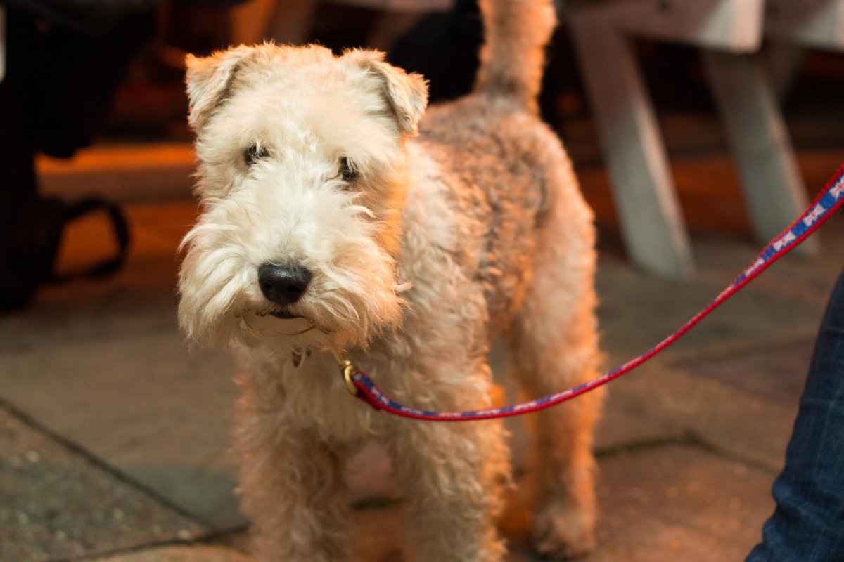 😍 😘 This beautiful friend :) 
📸 : Emily Bowden Photography