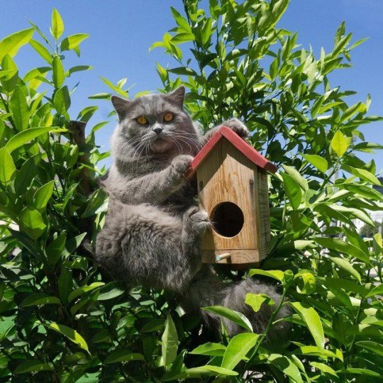 Kuşları seviyorum başka bir şey düşünmeyin ;)