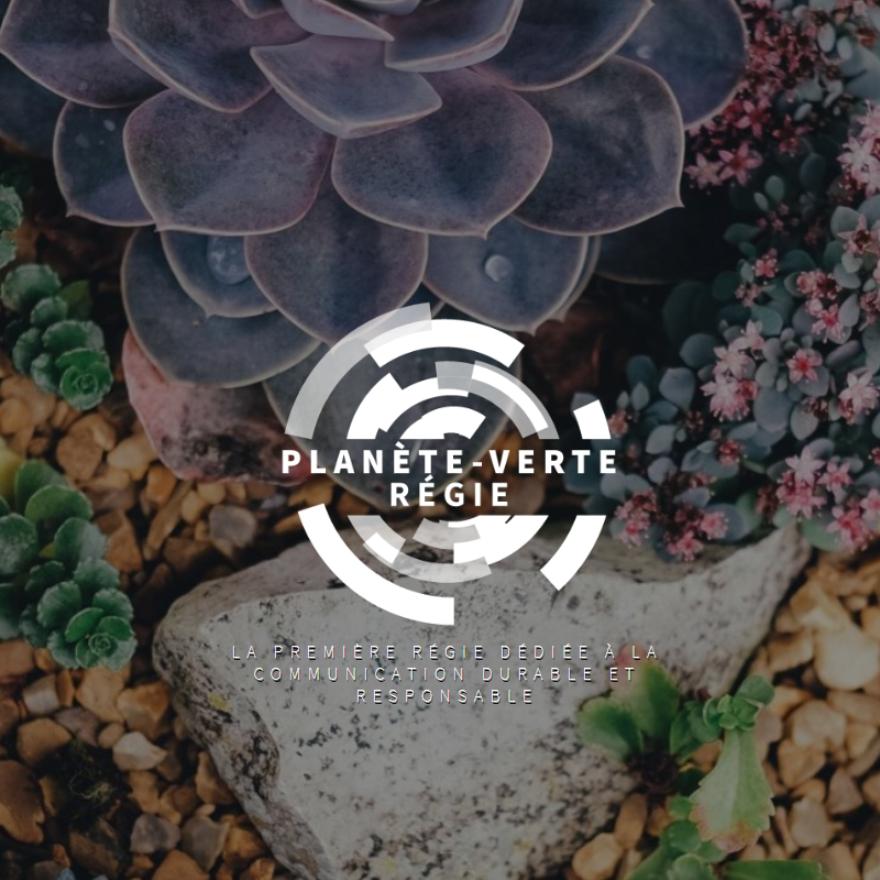 Voilà, nous avons dépassé la barre des 400 annonceurs depuis la création de Planète-Verte Régie. Merci pour votre confiance et continuons à partager ensemble !
Pour en savoir plus sur nous, c'est par ici : lnkd.in/epUbRRS

#communicationresponsable #communicationdigitale