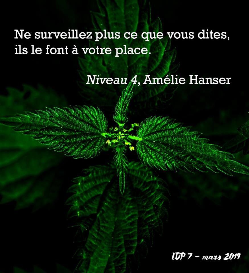 LIndePanda's tweet photo. Encore un #teasing avant le jour-J !
Êtes-vous prêtes et prêts ?
#IDP #AutoEdition https://t.co/hHUIxJmrpl