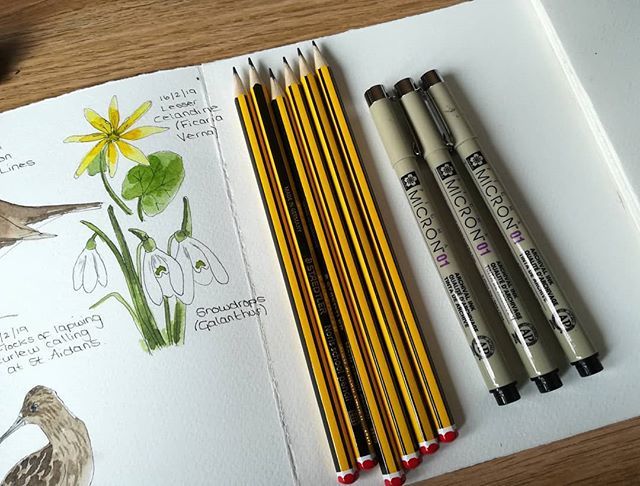 anghenn's tweet photo. New tools. My favourite Staedtler Norris pencils and 01 Pigma Micron. I've tried refilling the Micron's before to reduce waste, but it didn't work well. If anyone has found a refillable version, or a way to refill these I love to know.
#artsupplies #pigm… https://t.co/Ed5lX37c3a https://t.co/DAroDUOVsf