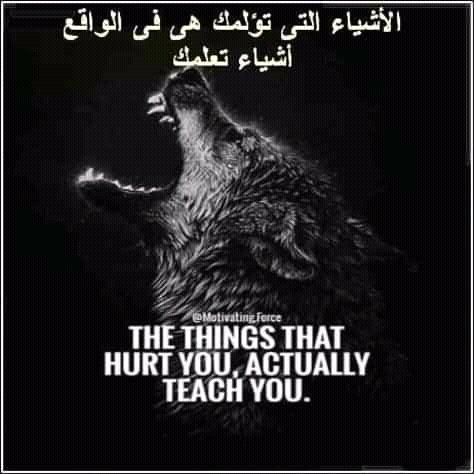 amany elmasry (@amany85757489) on Twitter photo 