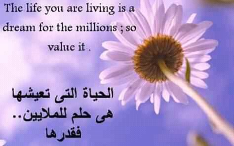 amany elmasry (@amany85757489) on Twitter photo 