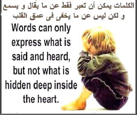 amany elmasry (@amany85757489) on Twitter photo 