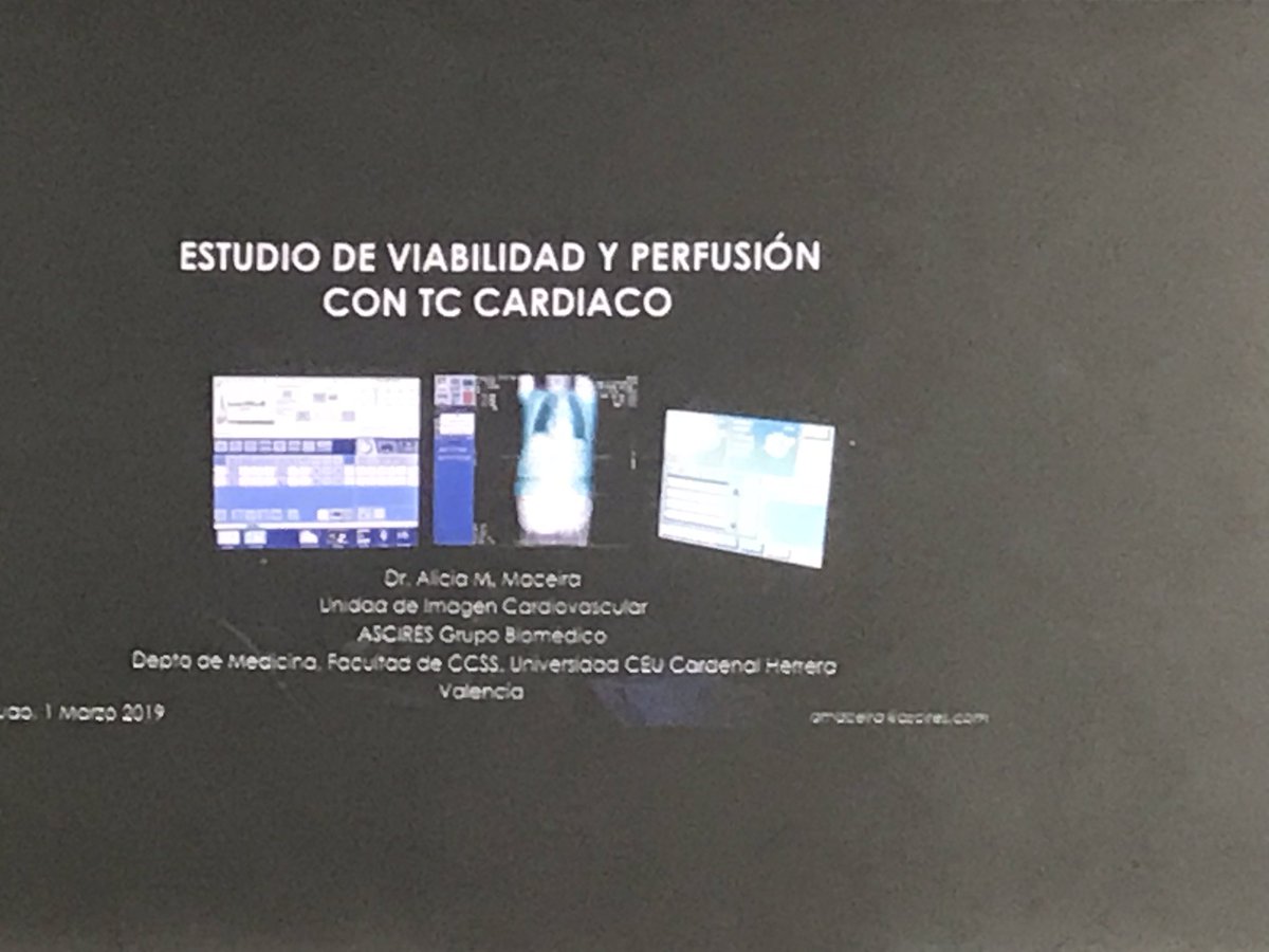 IagoMtnezSouto's tweet photo. Asistiendo al excelente Taller #CardioTC dirigido por @JRodriPalomares y @GuzmnNy ahora mismo @maceiraCMR hablando Perfusion CT y Viabilidad! @secardioCRMTC https://t.co/JZ8cNUSlAu