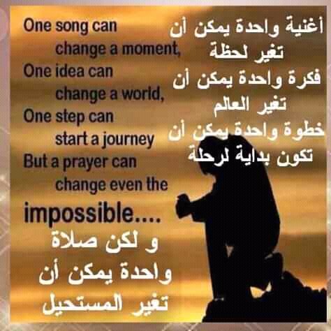 amany elmasry (@amany85757489) on Twitter photo 