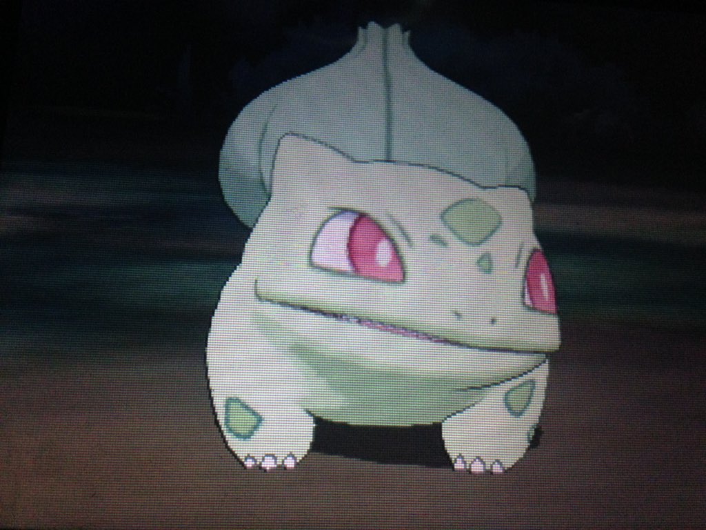 ポケパルレ Twitter Search