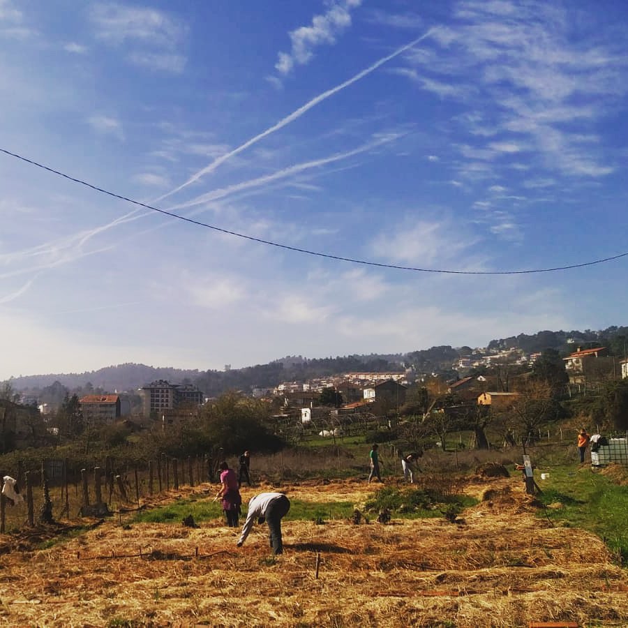 Traballando na Horta da Alfádega. #MedioAmbiente #OurenseSostible #Permacultura