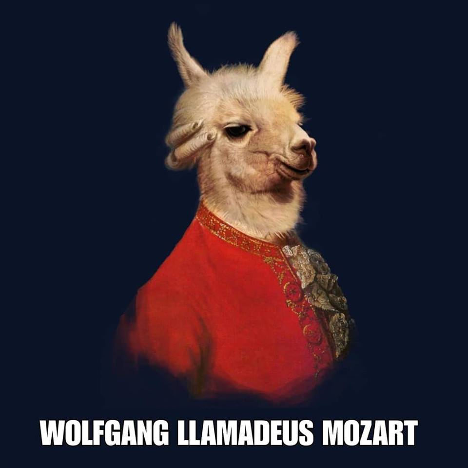 JeffPally's tweet photo. Hmm...#HRSpiritAnimal meets #HRMusicShare? #HRTribe #HRonPurpose #HRPositive #HRShenanigans #Llamas #DramaLlamaDingDong #LLamadeus https://t.co/cWXKyyruSI